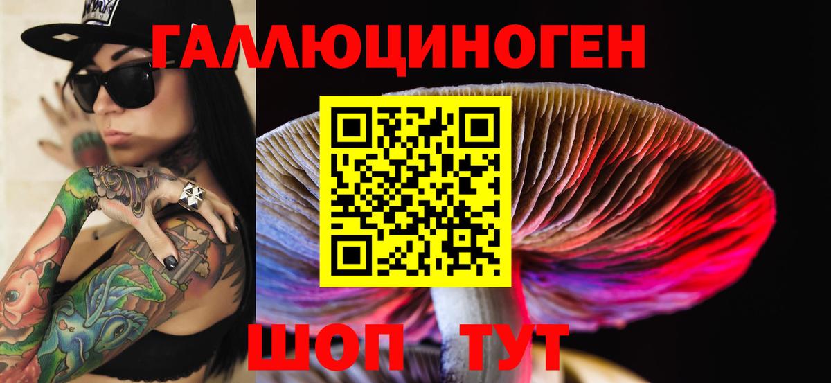 Галлюциногенные грибы Psilocybe  Вход с VPN  Псилоцибиновые грибы GOLDEN TEACHER  Луховицы 